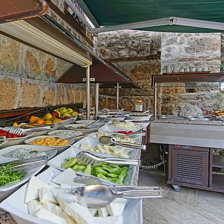 La Paloma